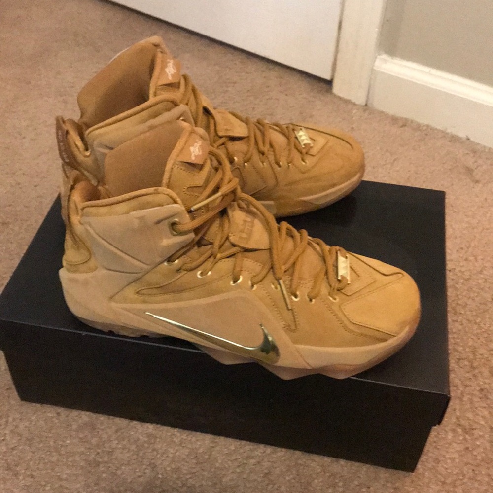 Wheat  Lebron xII ext QS
